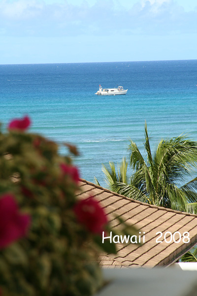 c0113638_08047.jpg