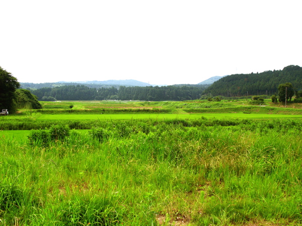 c0039145_20552541.jpg
