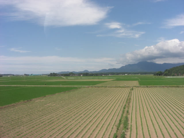 c0046846_21144756.jpg
