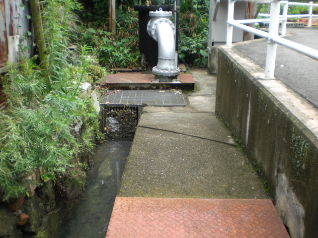 b0152548_17584527.jpg