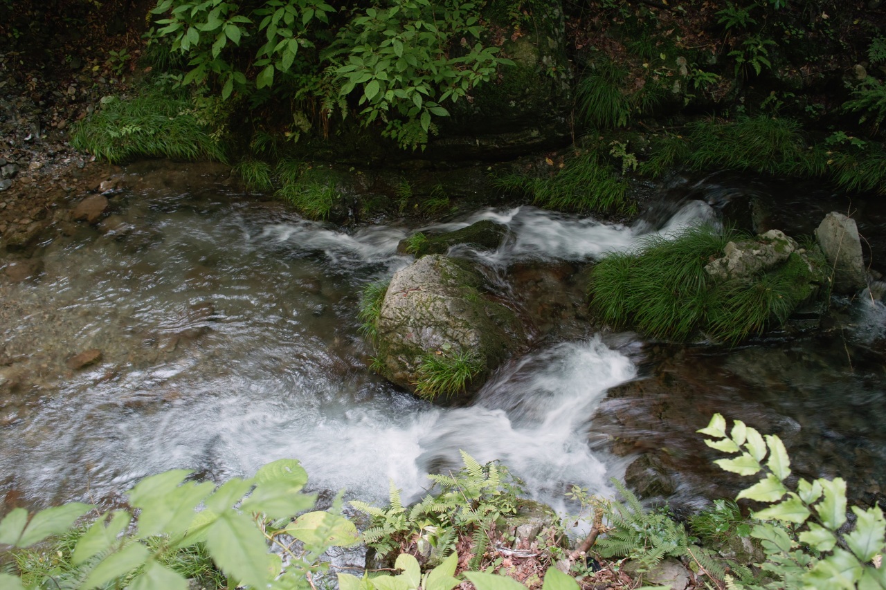 初夏の小下沢_c0008948_2026810.jpg