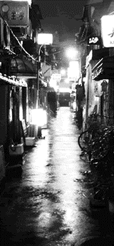 c0119160_21231477.gif