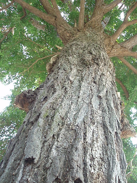 a0066869_2123641.jpg