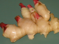 b0039373_10234178.jpg