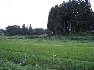 a0087378_6555985.jpg