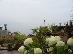 2008年7月4日 10日間のご無沙汰です。もう7月になってしまった。 _b0098584_1673126.jpg