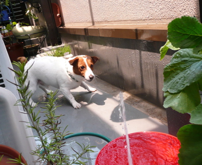 f0146198_23201613.jpg