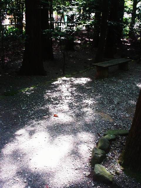 鎮守の森・・・_d0039111_1010299.jpg