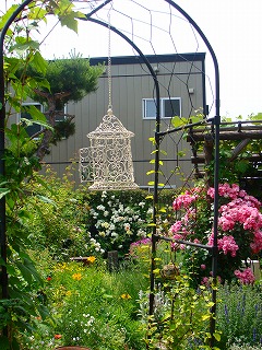 f0170524_1545917.jpg
