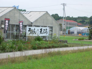 讃岐うどん情報～根っ子（香川県多度津町）～_c0034228_0305124.jpg