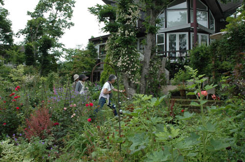 OPEN GARDEN山中湖塚原邸_c0107129_155252.jpg
