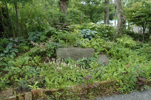 OPEN GARDEN山中湖塚原邸_c0107129_1552973.jpg