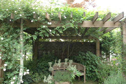OPEN GARDEN山中湖塚原邸_c0107129_1554758.jpg