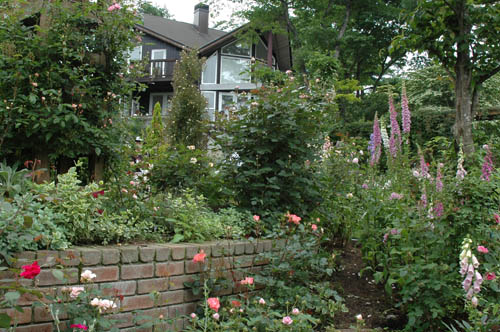 OPEN GARDEN山中湖塚原邸_c0107129_1565997.jpg