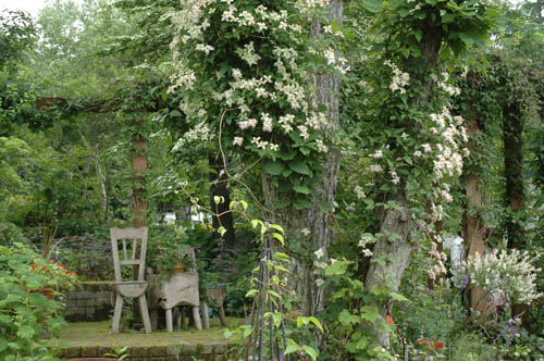 OPEN GARDEN山中湖塚原邸_c0107129_157275.jpg