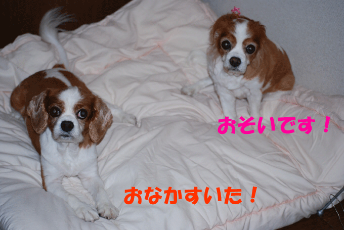 c0136838_21343100.gif