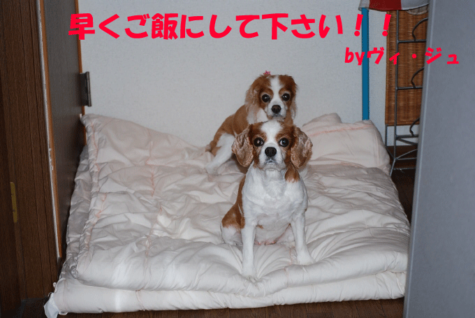 c0136838_2141745.gif