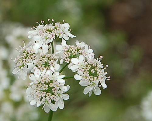 b0017645_22451178.jpg