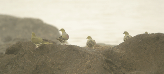 c0042548_19153399.gif