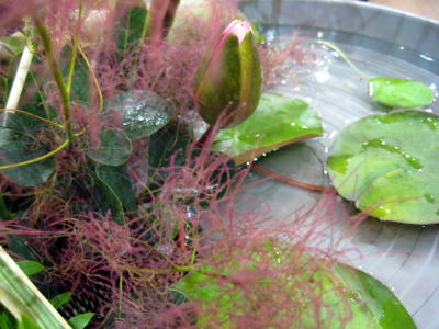 c0147952_20525080.jpg