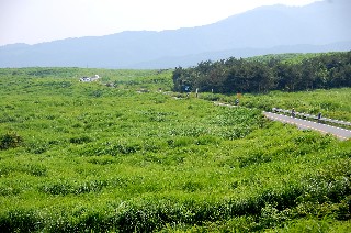 c0047856_22383373.jpg