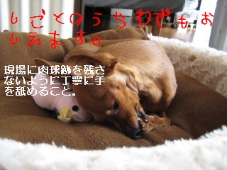 a0091865_216505.jpg
