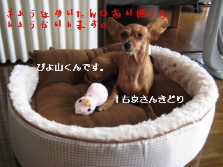 a0091865_216657.jpg