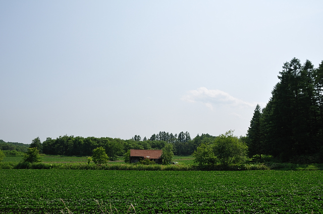 十勝の風景～赤い屋根3_d0105582_20574380.jpg