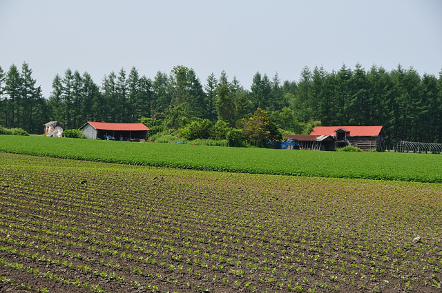 十勝の風景～赤い屋根3_d0105582_20584959.jpg