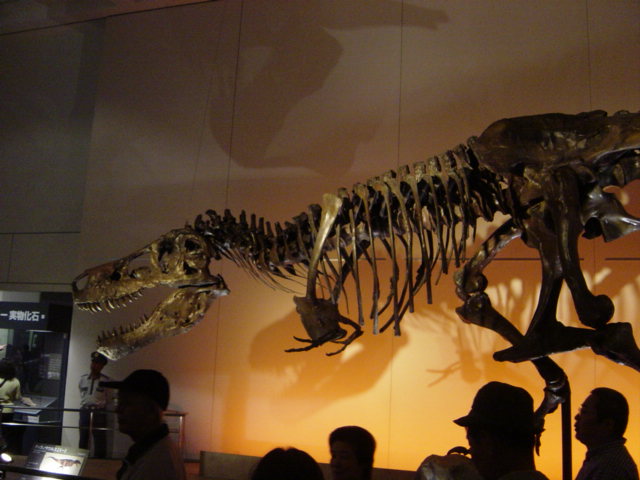 f0022982_1583523.jpg