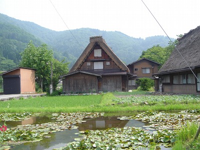 b0015885_12445269.jpg