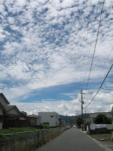 雲高く空が澄んで、梅雨明け！店は静かです_e0130185_13144330.jpg