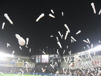 c0031888_1562890.jpg
