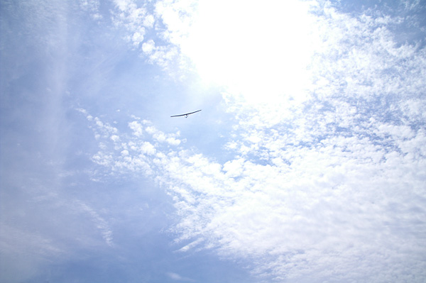 080706梅雨明け近し、伊賀_f0175989_17542063.jpg