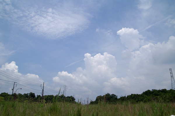 080706梅雨明け近し、伊賀_f0175989_1912461.jpg