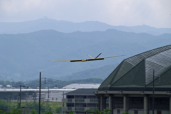 080706梅雨明け近し、伊賀_f0175989_1993935.jpg