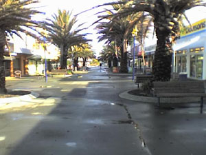 b0040606_17184637.jpg