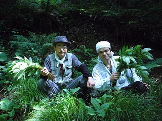 天然山菜ミズナ_f0157910_14574837.jpg