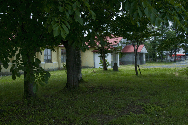 d0019422_8545028.gif