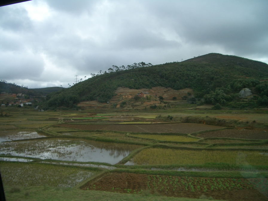 c0157323_22105239.jpg