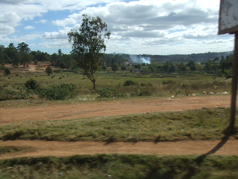 c0157323_22205944.jpg
