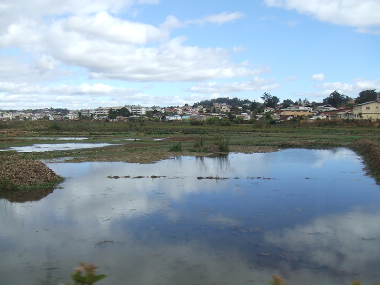 c0157323_2245048.jpg