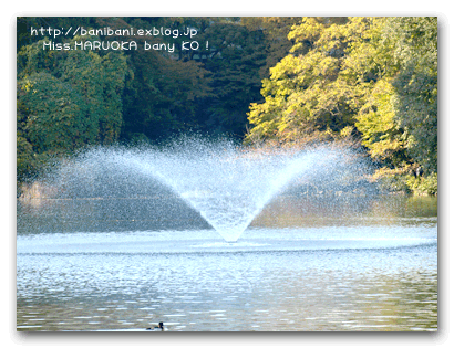 d0020828_1592471.gif
