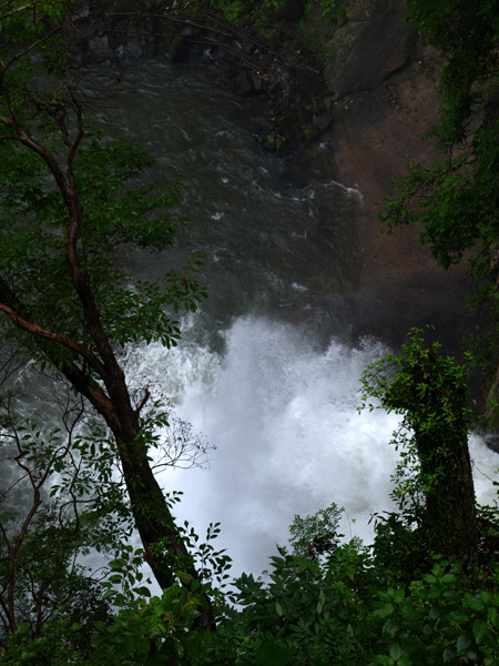 d0125535_1872040.jpg