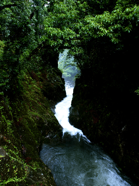 d0125535_1881081.jpg
