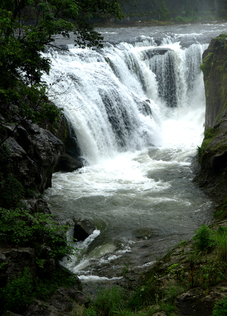 d0125535_18991.jpg