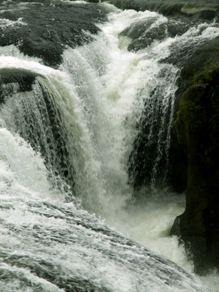 d0125535_22415651.jpg
