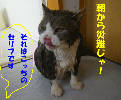 f0008935_9372871.gif