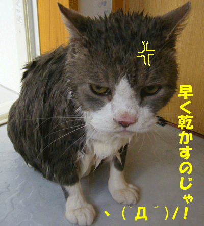 f0008935_9375610.gif