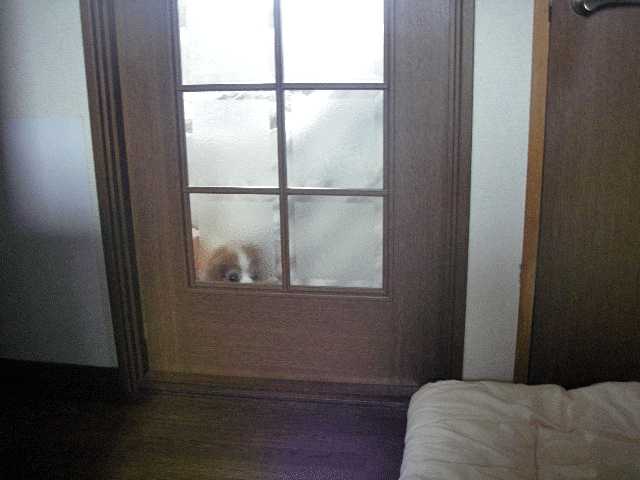 c0136838_11485479.gif